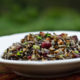 Wild Rice Salad with Pecans and Dried Cranberries